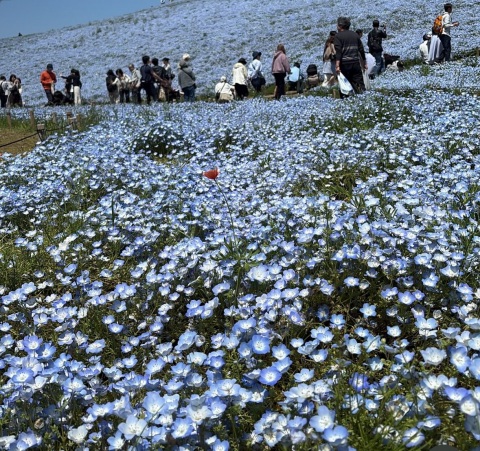 写メ