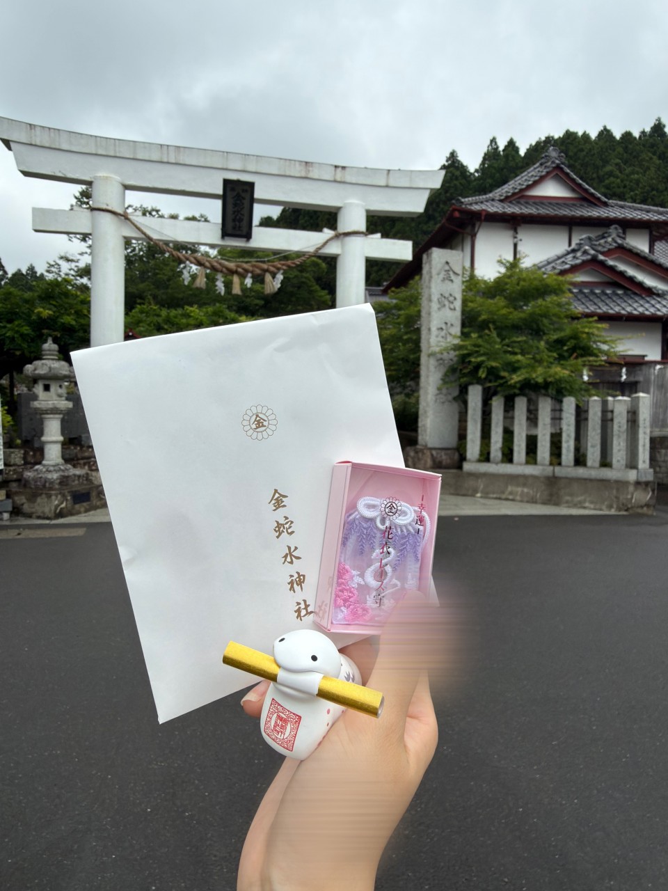 アップロード画像