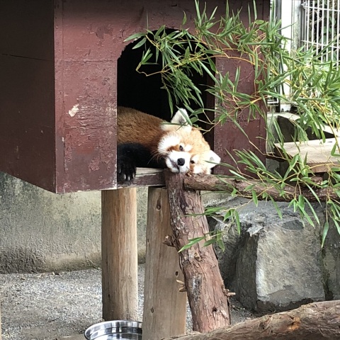 写メ